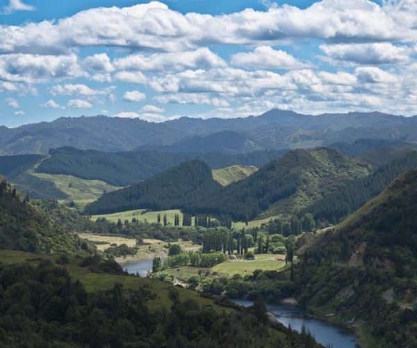 whanganui New Zealand Shipping Containers