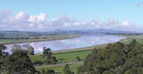 dargaville New Zealand Shipping Containers